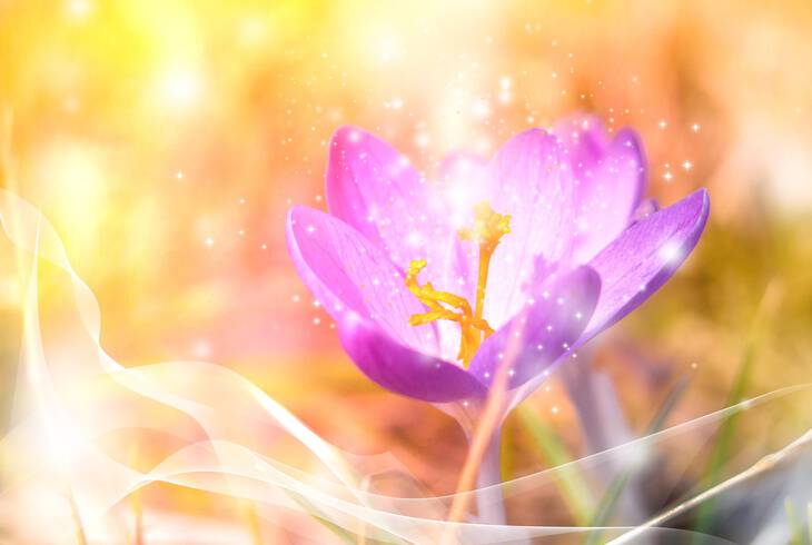 „Egytt az emlkezsrt – Krkusz Projekt”