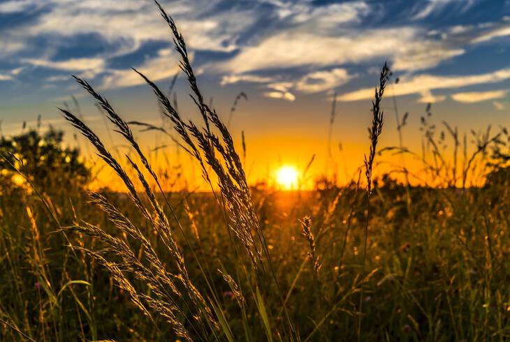 Csaldi kisgazdasg plyaorientcis nap 