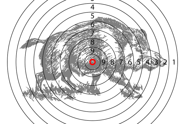 Siker a futcllv versenyen